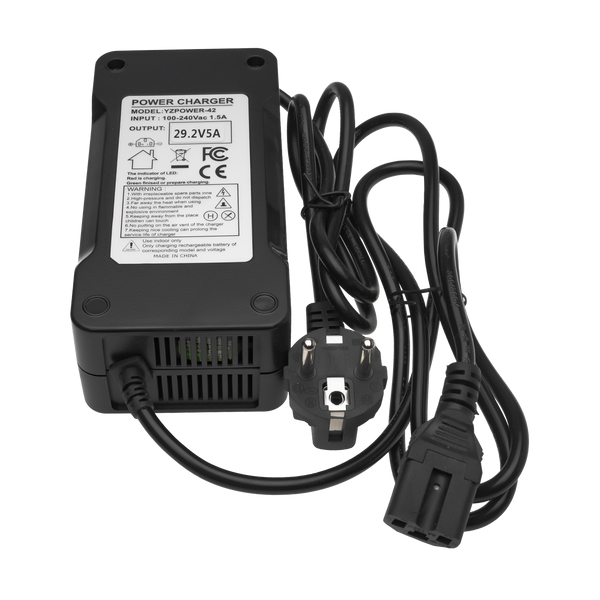 Зарядное устройство для аккумуляторов LiFePO4 24V (29.2V)-5A-120W 9537 фото