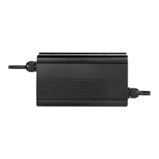 Зарядний пристрій для акумуляторів LiFePO4 24V (29.2V)-10A-240W-C13 19299 фото