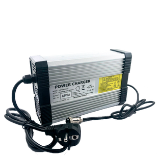 Зарядний пристрій для акумуляторів LiFePO4 36V (43.2V)-9A-324W LP14587 фото