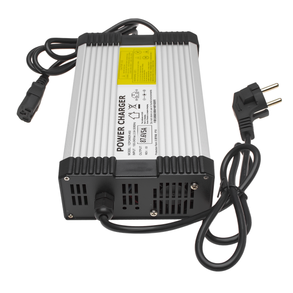 Зарядное устройство для аккумуляторов LiFePO4 72V (87.6V)-5A-360W 9591 фото
