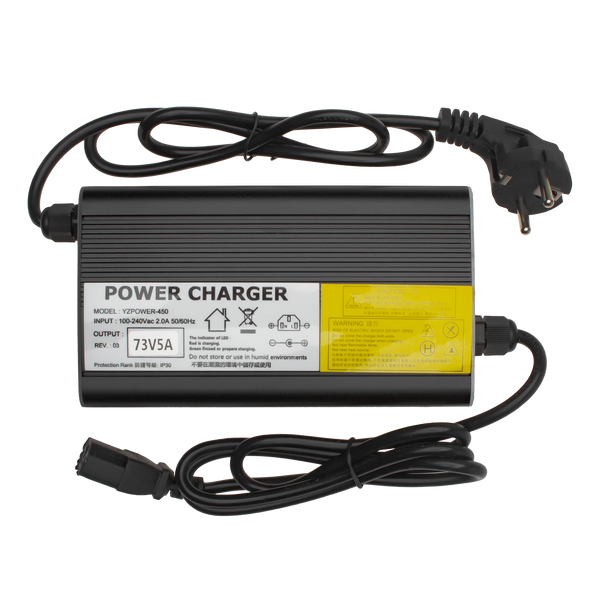 Зарядний пристрій для акумуляторів LiFePO4 60V (73V)-5A-300W 9542 фото