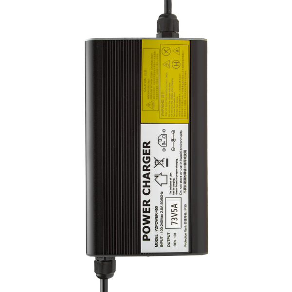 Зарядний пристрій для акумуляторів LiFePO4 60V (73V)-5A-300W 9542 фото