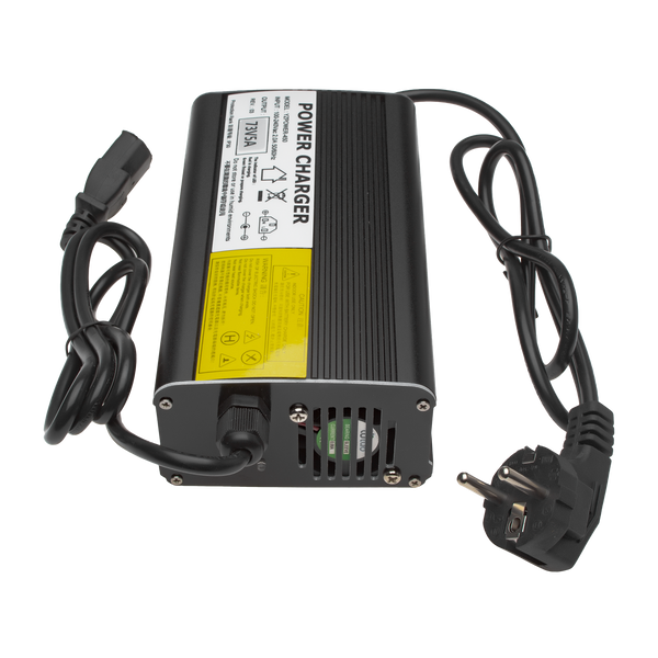 Зарядний пристрій для акумуляторів LiFePO4 60V (73V)-5A-300W 9542 фото