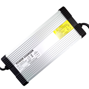 Зарядний пристрій для акумуляторів LiFePO4 24V (28.8V)-20A-480W 13965 фото