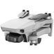 Квадрокоптер DJI Mini 2 (CP.MA.00000312.01) 312.01 фото 1