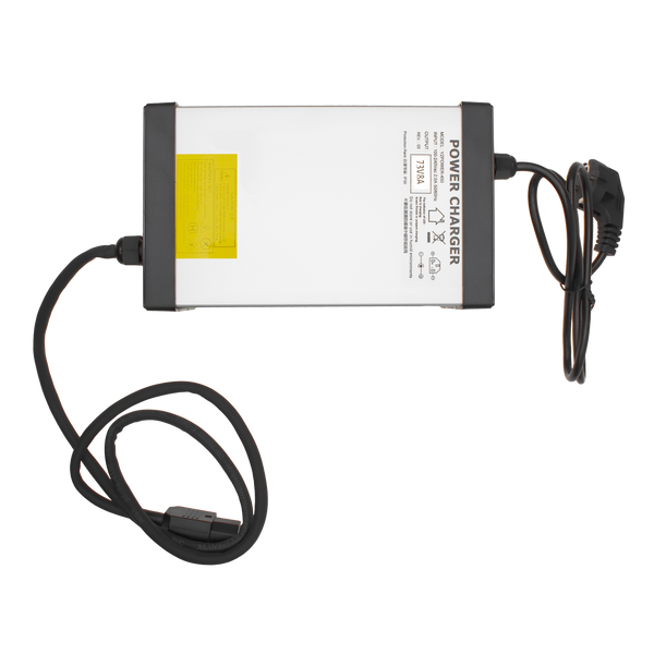 Зарядное устройство для аккумуляторов LiFePO4 60V (73V)-8A-480W 9543 фото