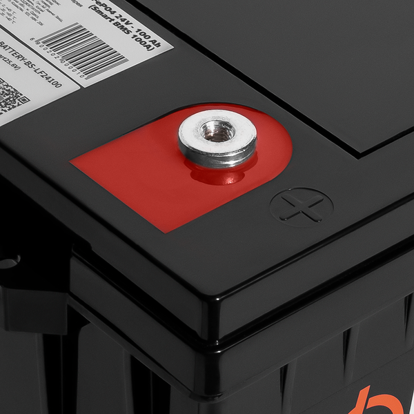 Акумулятор LP LiFePO4 25,6V - 120 Ah (3072Wh) (Smart BMS 100А) з BT пластик для ДБЖ 22424 фото