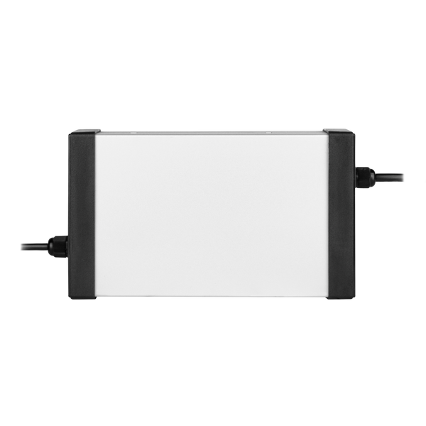 Зарядное устройство для аккумуляторов LiFePO4 48V (58.4V)-8A-384W LP19304 фото